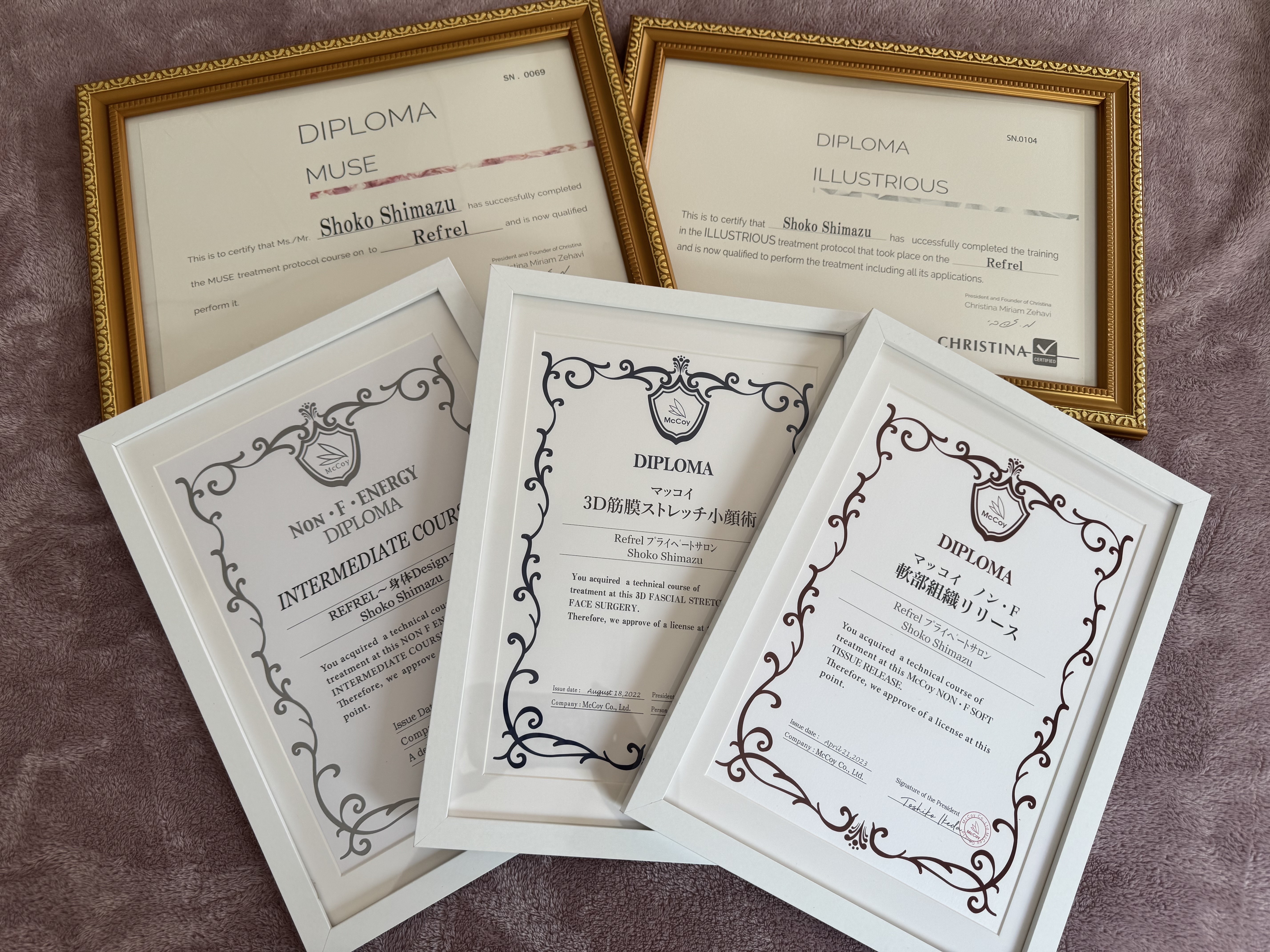 ディプロマ（修了証）の画像